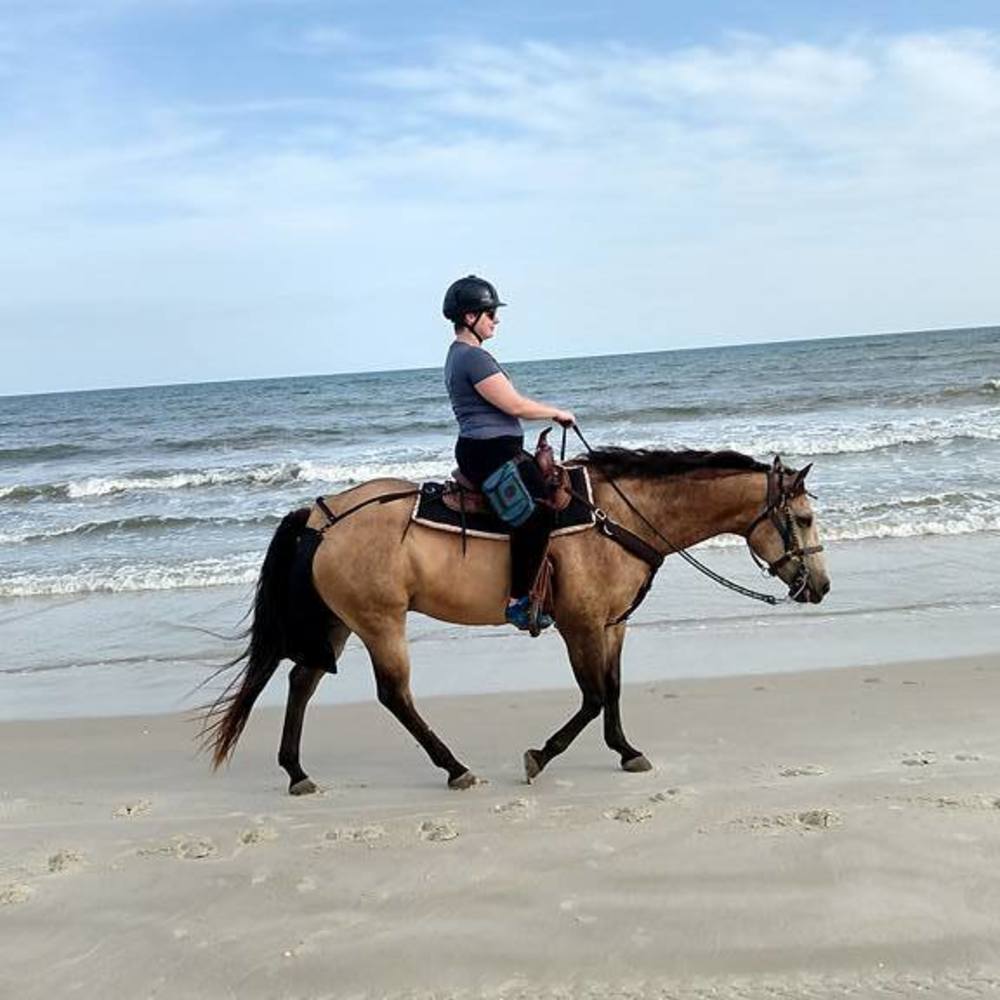 Meet your Posher, Lindsey